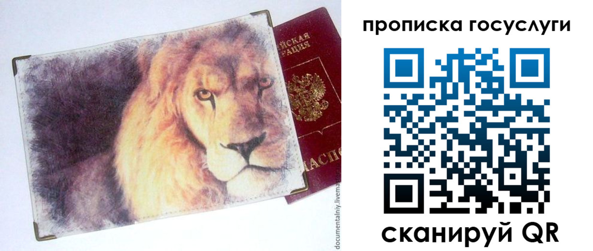 временная регистрация для всех в Камчатском крае